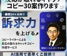 反応が取れるキャッチコピー30案作ります コピーライターによる反応の取れるキャッチコピー作成サービス