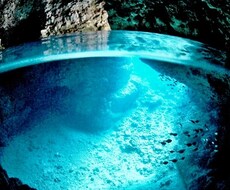 専門的知識を持ってお答えします イメージ1
