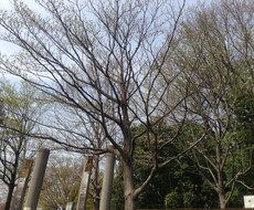 お悩みやストレス発散等何でもお聞きします イメージ1