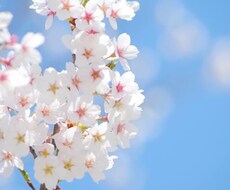 ワンコインであなたのお悩み全て聞きます イメージ1