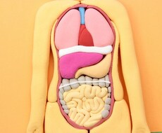 人間ドックに関する疑問にお応えします 健診ナースがプロのアドバイスをいたします
