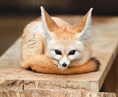 《片想い》恋愛の悩みお聞きします。友人には言えない相談しづらい内容でも秘密厳守《不倫》