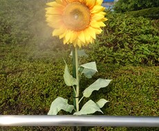 心のお悩みなんでも聞きます 心が疲れてとにかく人と話したい方へ