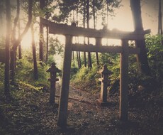 あなたの困りごとに、スピリチュアル鑑定します 聞きたいことを、詳細鑑定致します。