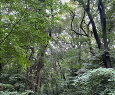 生きづらくて悩んでいる人の力になります イメージ1