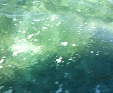 日頃の溜まったモヤモヤをお聞きします イメージ1