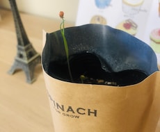 なかなか片付かない場所を片付けるサポートします 重い腰があがらない、やる氣がおきない、でもなんとかしたい方