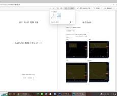 FX(ゴールド)の環境認識レポートを提供します 実際にコンサルなどで提供している相場環境レポートになります