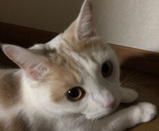 愚痴ききます イメージ1