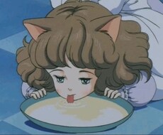 21歳大学生が全力であなたの心を癒します ♡3日間みっちりダイレクトメッセージしましょう