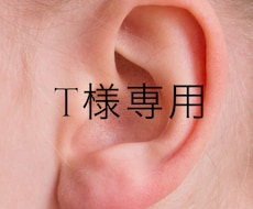T様専用　ご予約個別専用枠こちらにお願いします 【T様専用】ご予約個別専用枠　他の方は購入できません