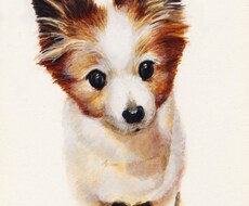 ペットの絵、描きます かわいいペットの絵を飾りませんか？プレゼントにも◎