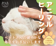 大切なペットさんへアニマルヒーリングをします ✤動物さんの健やかな毎日のお手伝い✤お家でゆったりヒーリング