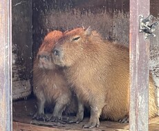 女性限定☆どんなお話でもOK♪(´ε｀ 聞きます イメージ1