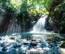 何もかも嫌になった時、少しでもお話し聞きます イメージ1