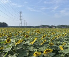 気楽に話せる様、空気作りも致します イメージ1