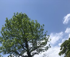 私の持ってる知識、経験全てを活かしアドバイスします
