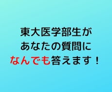 東大医学部生があなたの質問になんでも答えます あなたの質問に私の素直な考えを丁寧に述べていきます
