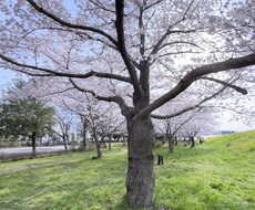 GAFA社員が就活・転職のご相談乗ります イメージ1