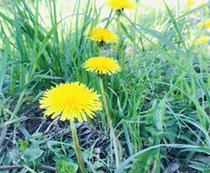 引きこもりでお悩みの方お話聞きます 引きこもり、またそういったご家族がいる方のお話お聞きします。