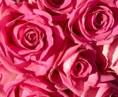 出会って2か月でプロポーズ、婚活の悩みを解決します イメージ1