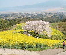 国家資格有。貴方の沈んだ心と気持ちを一緒に整えます 苦しみ、悩み、怒り、不安な気持ちを吐き出し心を整えよう！