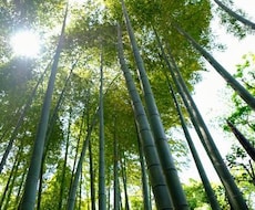 否定しません。全部受け止めます イメージ1