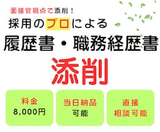 履歴書・職務経歴書をプロが添削します まずはお試し8,000円｜改善点を具体的にお伝えします