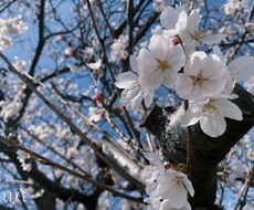 あなたのお話、なんでも聞きます イメージ1