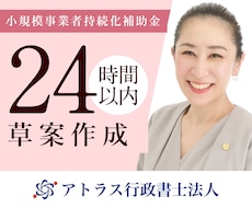 小規模事業者持続化補助金計画書を専門家が作成します 24時間対応/高品質な事業計画書/補助金担当部署が対応