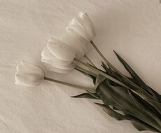 モデルの卵・芸能の卵の子たち悩み相談のります イメージ1