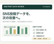 SNS投稿データを整理して改善案をまとめます イメージ1