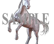 プロイラストレーターが馬のイラスト制作します イメージ1