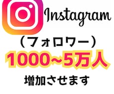 インスタ・フォロワー1000人追加します Instagram グローバルフォロワー付与　高品質