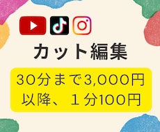 １分100円の格安でカット編集します 【youtubeなど向け】カット編集のみお手頃価格