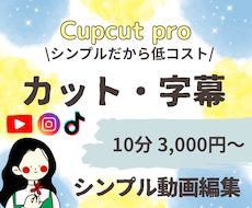 シンプルな動画編集をします イメージ1