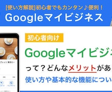 Googleマイビジネス プロが格安フォローします イメージ1