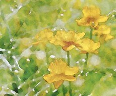 写真を水彩画に加工します お気に入りの写真をさらに素敵にしましょう！似顔絵などにも