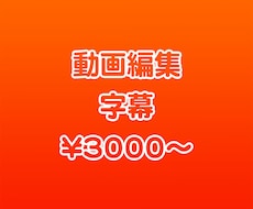 Youtube等の動画編集・日英字幕作成します 国内外で経験がある現役エディターがあなたの動画を編集します