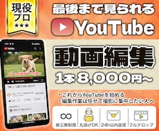 迅速・丁寧・柔軟！現役プロが動画編集代行致します 丸投げOK！高品質な動画編集代行！最後まで見られる動画作り！