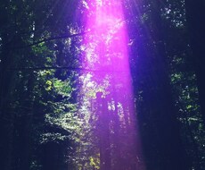 生まれてきた本当の意味を解読します 本質が見出され良い所は伸ばし、悪い所は気をつける
