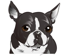 ペット似顔絵お描きします イメージ1