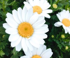 5分でもOK!ちょっとだけのお話でもつきあいます イメージ1