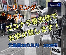 ココナラ最安値！あなたの動画を短くカットします イメージ1
