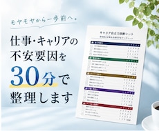 仕事・キャリアの不安要因を30分で整理します イメージ1