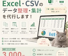Excel・CSVのデータ整理・集計を代行します イメージ1