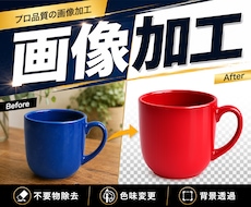 画像加工・背景透過を丁寧に行います イメージ1