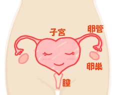 卵巣の病気の経験談話します イメージ1
