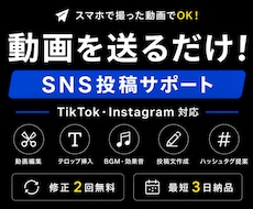 SNS動画編集と投稿文作成します イメージ1