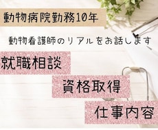 動物看護師の仕事や資格取得の相談に乗ります イメージ1